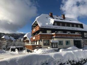 Гостиница Hotel garni Zartenbach, Хинтерцартен